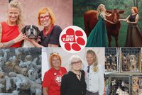 Blesk tlapky slaví 8 let: Tisíce příběhů, odhalené množírny a pomoc zvířatům v nouzi