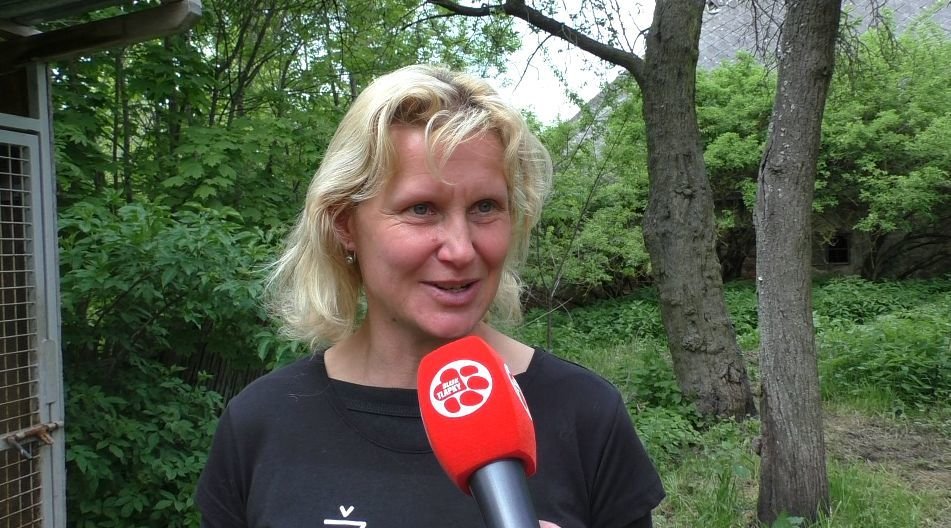 Alice Pekařová věří, že se jí podaří vrátit fence důvěru v lidi