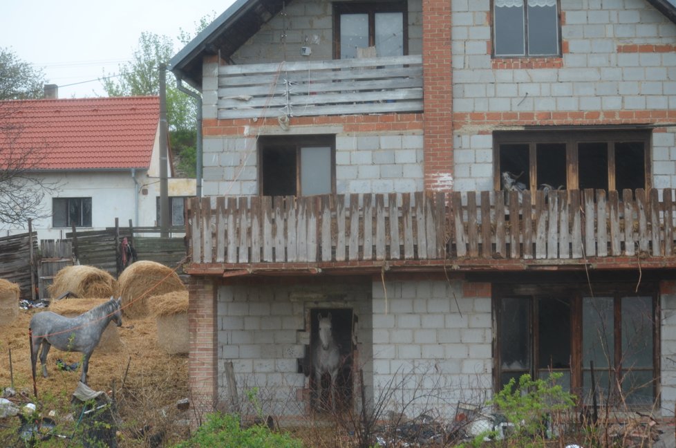 V tomto domě zvířata žijí už řadu měsíců, kozy v patře na balkoně, koně v přízemí.