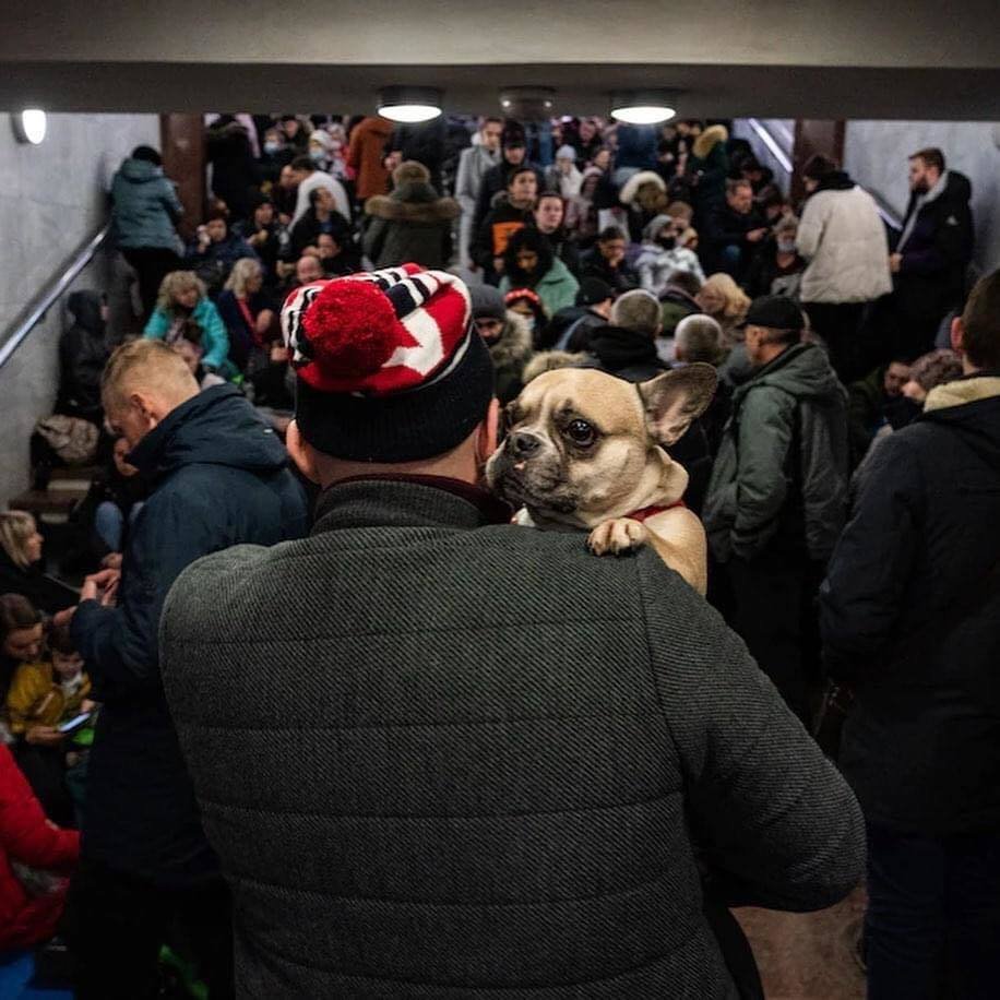 Lidé na Ukrajině svá zvířata neopouští, i když kolem zuří válka