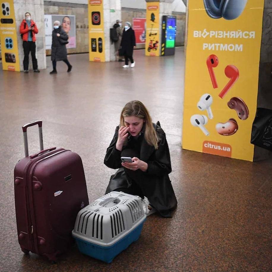 Lidé na Ukrajině svá zvířata neopouští, i když kolem zuří válka