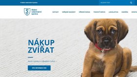 V této rubrice na webu Státní veterinární správy zájemci najdou všechny potřebné informace ke správné koupi psa či jiného zvířete.