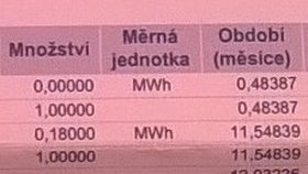 Za 1 MWh platí hrozivých 1457 Kč a k tomu 50 Kč měsíčně za odběrné místo.