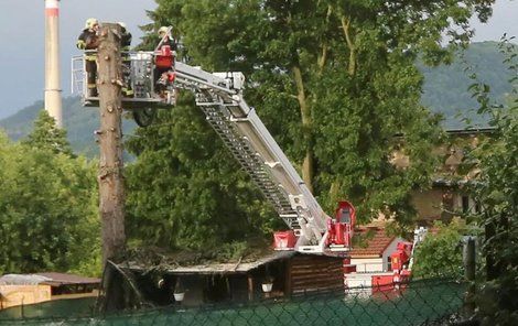 Hasiči odstraňují strom po kterém sjel blesk a zasáhl tři lidi.