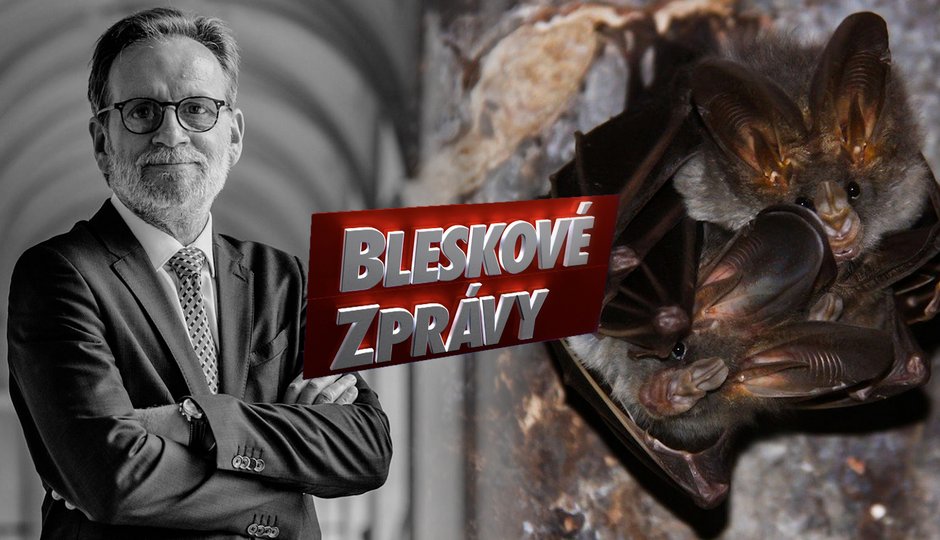 Bleskové zprávy: Smrt diplomata a nová hrozba vztekliny!