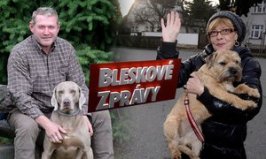 Bleskové zprávy: Kdy se vystěhuje Balák? A detaily pohřbu Šulcové (†76)