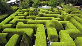 Ashcombe Maze (Austrálie)