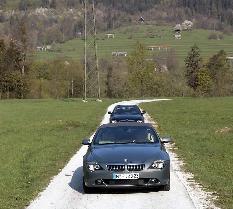 BMW řada 6