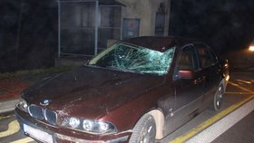 BMW, kterým srazil Milan S. tchána hejtmana plzeňského kraje.