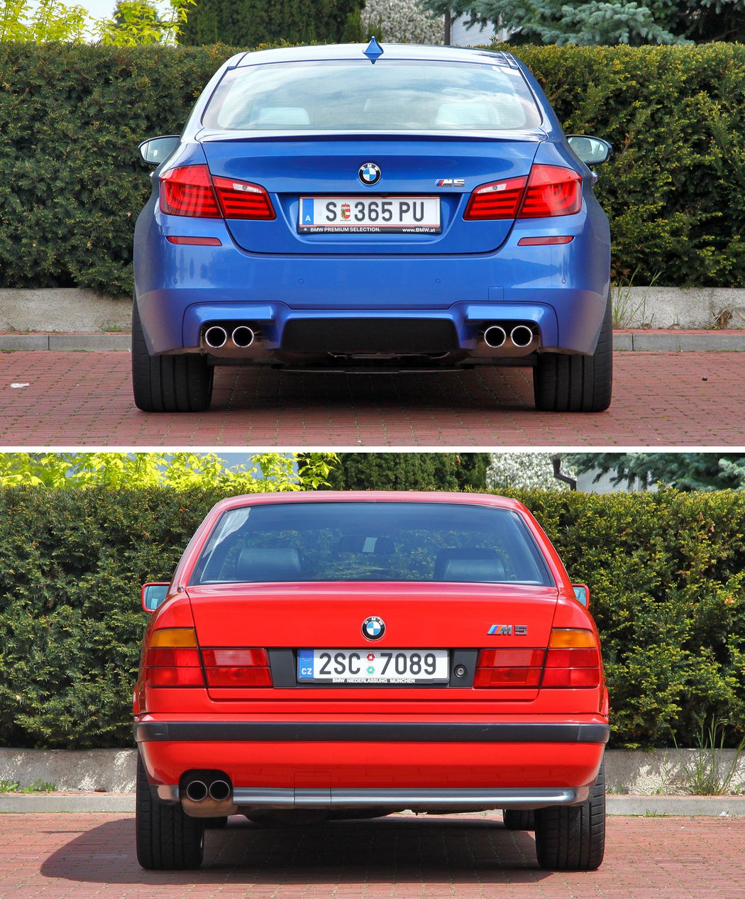 BMW M5