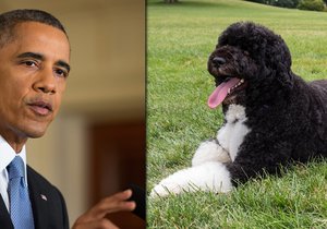 Obama v Bílém domě přivítal nového pejska - fenku Sunny