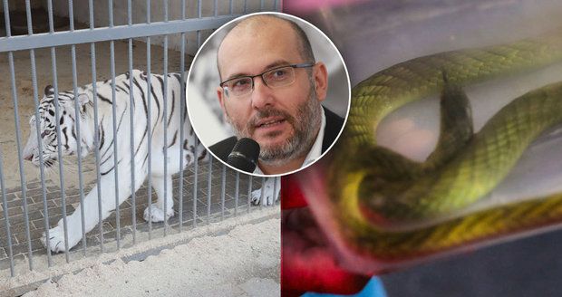 Ředitel Zoo Praha Miroslav Bobek o soukromých chovech: Šelmy nemnožit a nechat dožít… a na plazy licenci!