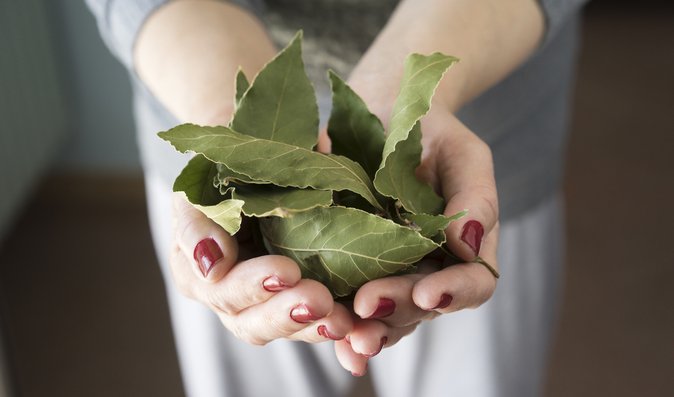 Skrytý poklad z vaší kuchyně: S těmito nemocemi vám pomůže čaj z bobkového listu Skrytý poklad z vaší kuchyně: S těmito nemocemi vám pomůže čaj z bobkového listu