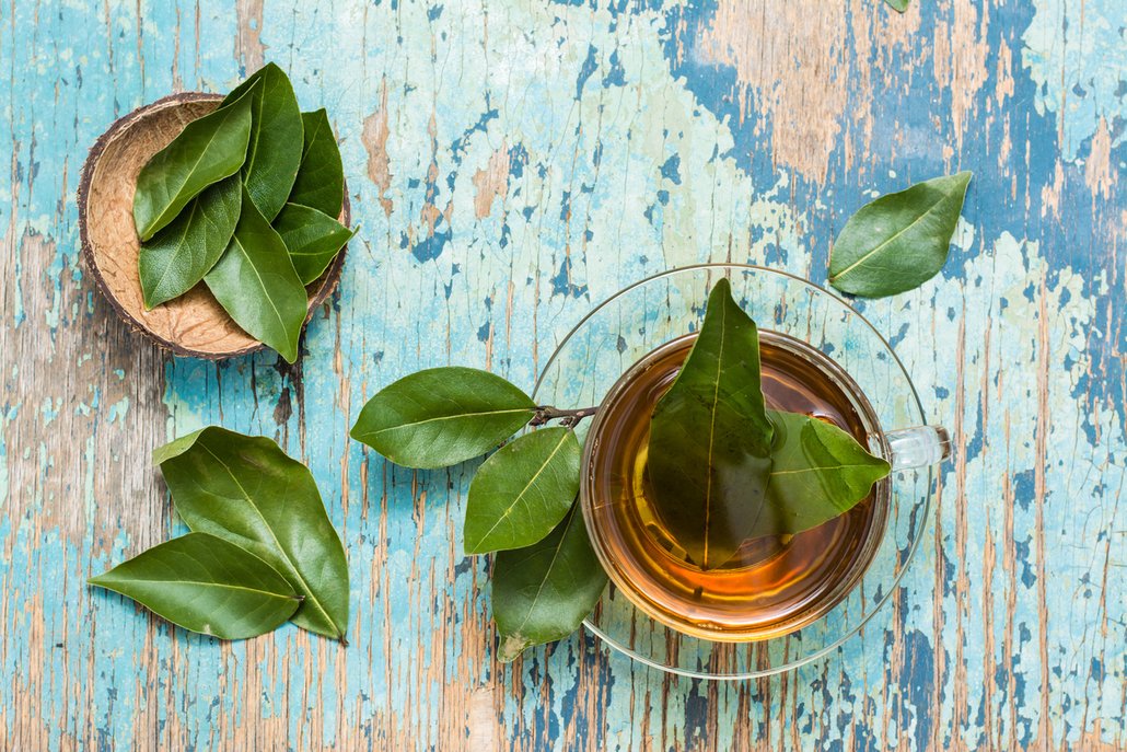 Čaj z bobkového listu má řadu zdraví prospěšných účinků.