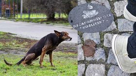 Žižkovští jsou zoufalí z hovínek. Nápisy nezabraly.