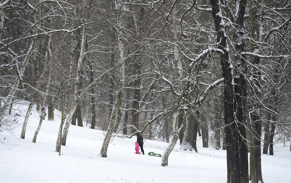 Prahu zasype sníh. Moc dlouho ale nevydrží.