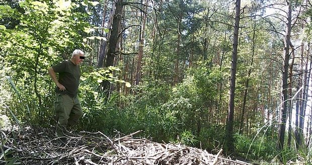 Fotopast ochránců přírody zachytila muže, který bobří hráz úmyslně poničil.