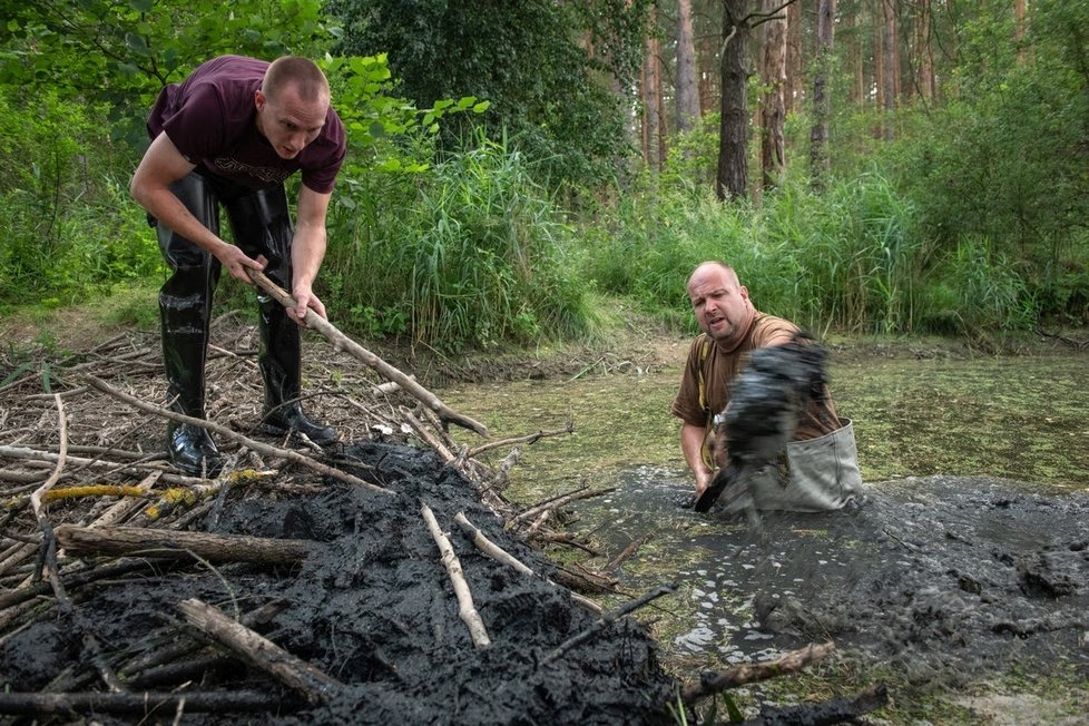 Ochránci přírody opravili poničenou bobří hráz u Nýřan na Plzeňsku.