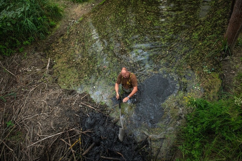 Ochránci přírody opravili poničenou bobří hráz u Nýřan na Plzeňsku.