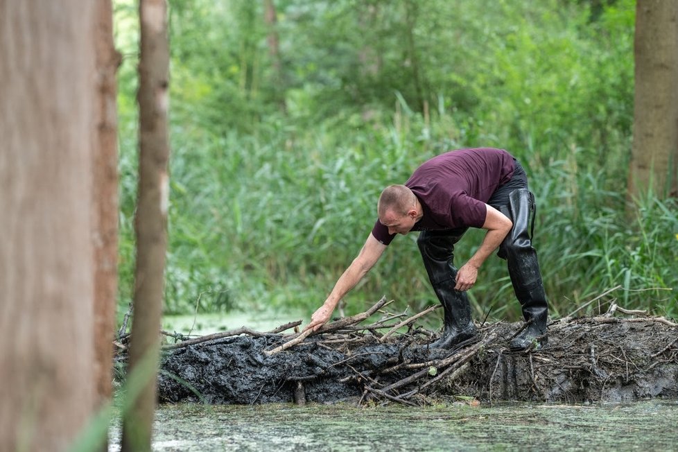 Ochránci přírody opravili poničenou bobří hráz u Nýřan na Plzeňsku.