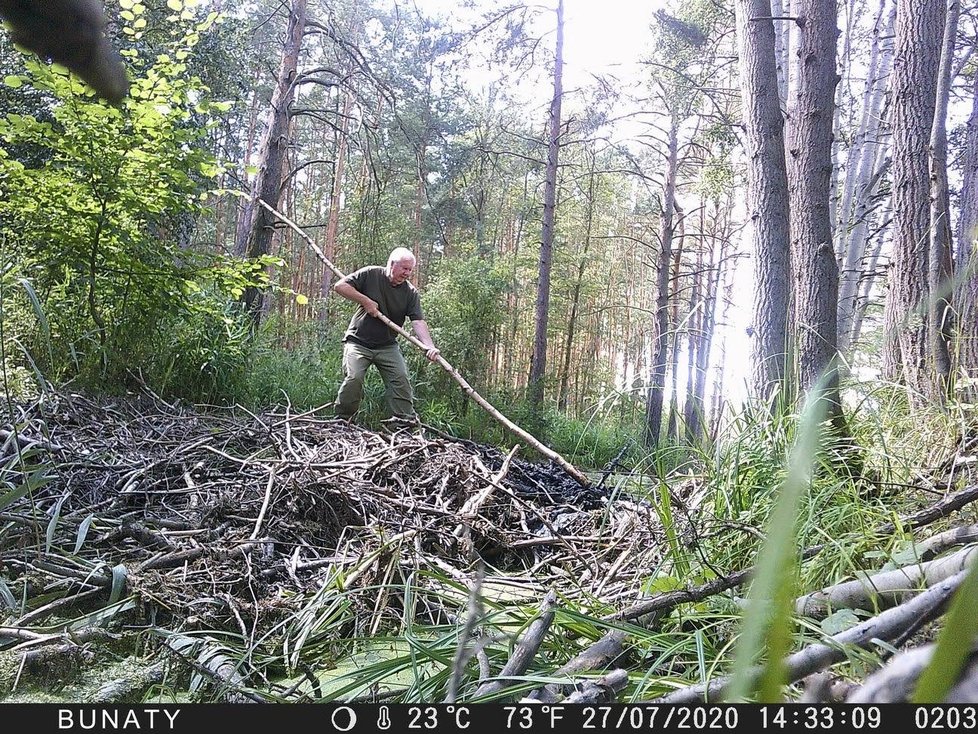 Policisté hledají ničitele bobří hráze, díky které u Nýřan na Plzeňsku vzniká unikátní mokřad.