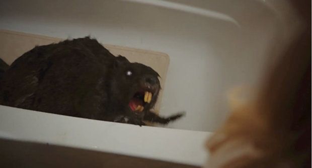 Šílená upoutávka na šíleně směšný horor s neživými zombie bobry