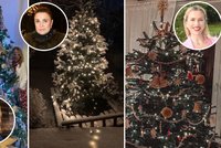 Havlová, Bočanová, nebo Prachařová se chlubily výzdobou: Ty »NEJ« vánoční stromky!