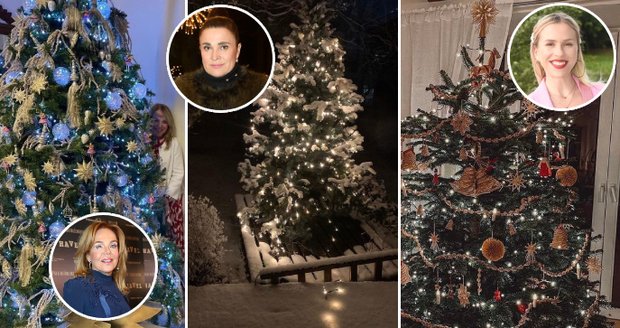 Havlová, Bočanová, nebo Prachařová se chlubily výzdobou: Ty »NEJ« vánoční stromky!