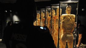 Výstava nabízí různé pohledy na lidské tělo.