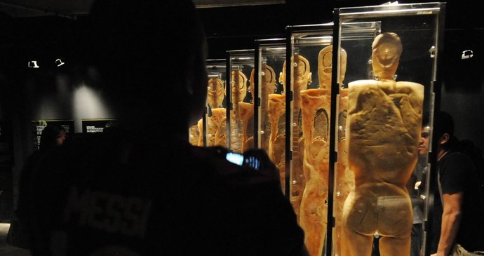 Výstava nabízí různé pohledy na lidské tělo.
