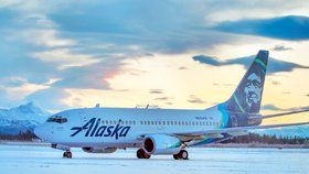 Boeing 737 srazil medvědici s mládětem na Aljašce (16. 11. 2020)