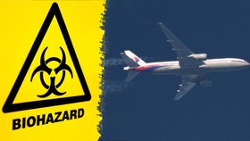 Podle jedné z teorií byly na palubě zmizelého letadla biologické zbraně. Může to být pravda?