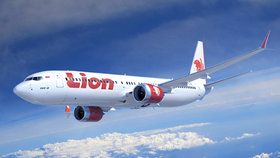 Letadlo Boeing 737 v barvách společnosti Lion Air se zřítilo do moře krátce po startu. Na palubě bylo 188 lidí.