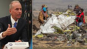 Generální ředitel společnosti Boeing Dennis Muilenburg vyjádřil rodinám obětí leteckého neštěstí v Etiopii a Indonésii svou soustrast. Přiznal podobnosti obou nehod.