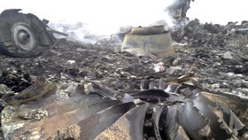 Vrak sestřeleného letadla MH17.