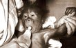 1971 - Kama – první orangutan, který se v Československu narodil.