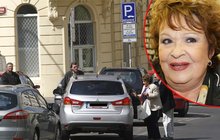 Takhle parkuje herečka Jiřina Bohdalová: Křemílek na chodníku!