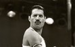 Freddie Mercury z The Queen
