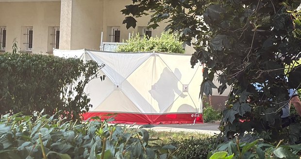 Tragédie v Bohnicích: Sebevražda skokem z domu?!