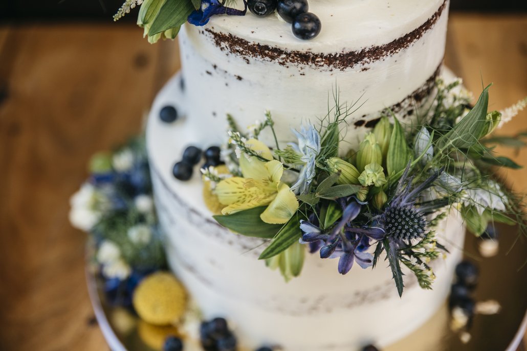Krásný dvoupatrový dort s borůvkami, květinami a bodláky