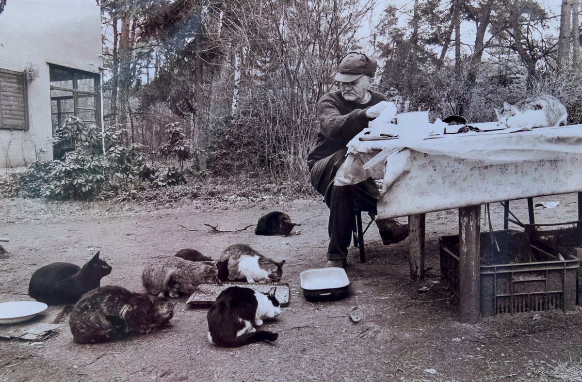 Takový snímek kočičí idylky mohl v Kersku pořídit jen málokdo. Podařilo se to Hrabalovu oblíbenci a našemu současnému fotografovi Martinu Přibylovi.