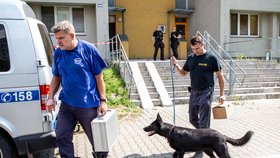 Policejní technici se psem prohledávali místo neštěstí.