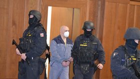 Zákeřný vrah Konopka nenechal dožít celou svou rodinu, celkem předloni zavraždil 11 lidí. U soudu ho střežili těžkooděnci.