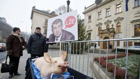 Zemědělec Bohumír rada tvrdí, že Babiš, s nímž má dlouhodobé spory, lže a likviduje česká prasata.