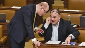 K cestě poslanců do Číny nejspíš nedojde, tvrdí Birke (ČSSD). Delegaci měl vést.