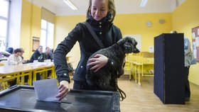 Krajské volby 2016 proběhnou 7. a 8. října.