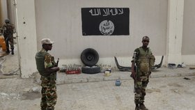 Armáda se chystá podniknout proti Boko Haram ofenzivu.