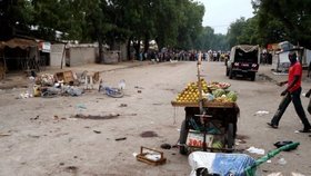 Kamerunští vojáci při pronásledování bojovníků islamistické skupiny Boko Haram zabili údajně na území Nigérie nejméně čtyři desítky civilistů.