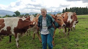 Maminka střelce Kateřina Bolecová (72) si neumí představit, že by měla svoje milované krávy prodat. Bude muset.