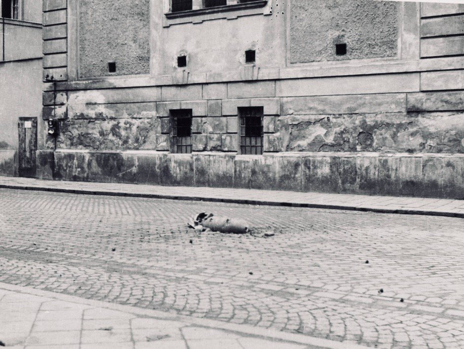 Fotku pumy na Bratislavské ulici pořídil člověk, který fotograficky dokumentoval město po bombardování a místa, kde se nachází nevybuchlé bomby. Poté, co pořídil tento snímek a zahnul z Bratislavské do Hvězdové ulice, bomba explodovala.